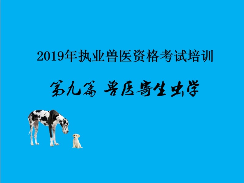 2019执业兽医资格考试-寄生虫学-限时优惠-网易精品课