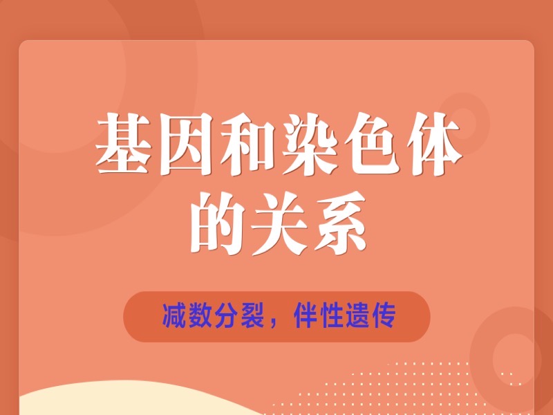 基因和染色体的关系-限时优惠-网易精品课
