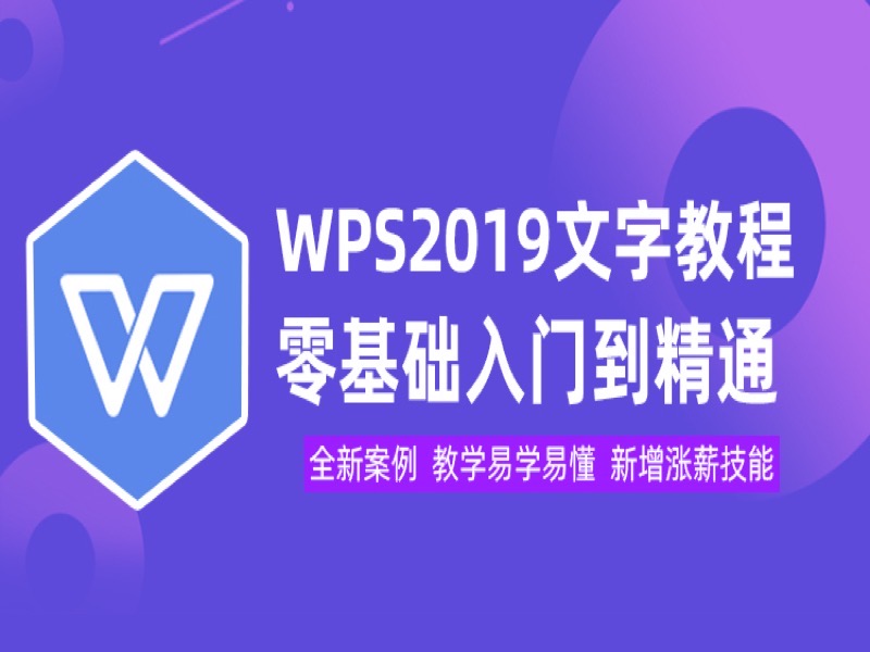 WPS2019文字排版教程零基础精通-限时优惠-网易精品课