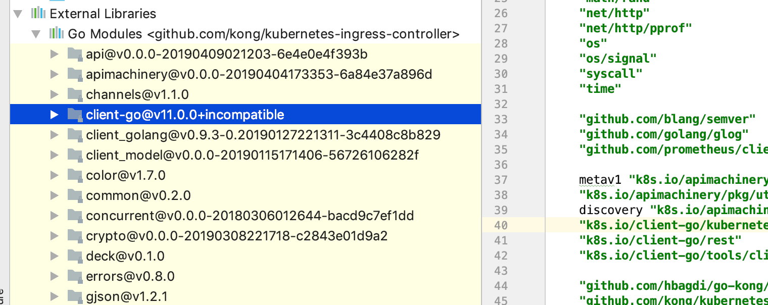 IntelliJ IDEA/Goland中的显示的依赖代码